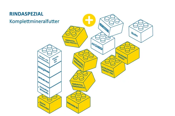 Milchkuehe_2026_251125_06