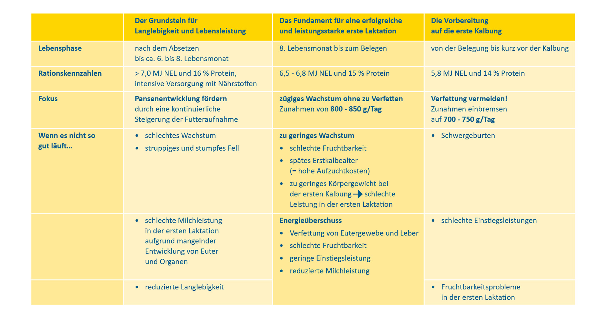 Grafik: Checkliste für die Jungviehfütterung vom Absetzen bis zur ersten Kalbung