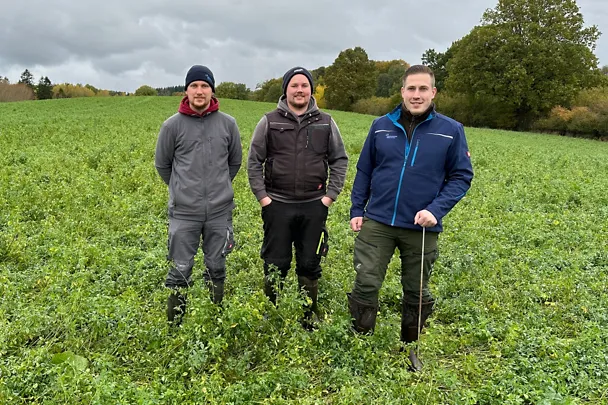 Jonas und Felix Lindemann mit SCHAUMANN-Fachberater Dennis Schiller (rechts) auf einem Feld mit Luzerne