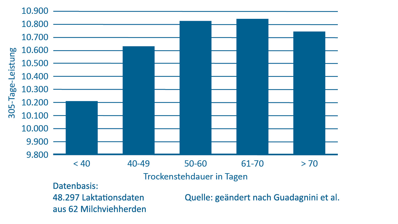 Einfluss der Trockenstehdauer auf die 305-Tage-Leistung nach Guadagini et al.