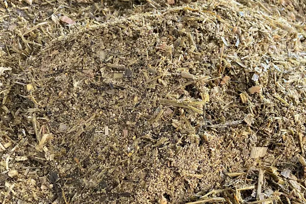 Ergebnis Schaufeltest