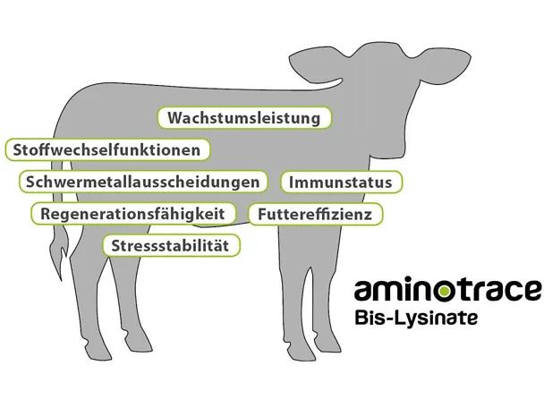 Wirkschwerpunkte von Aminotrace bei Kälbern