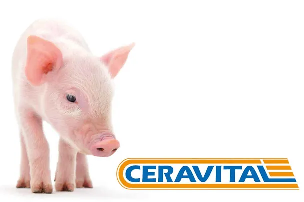 CERAVITAL in der Ferkelaufzucht CERAVITAL in der Ferkelaufzucht