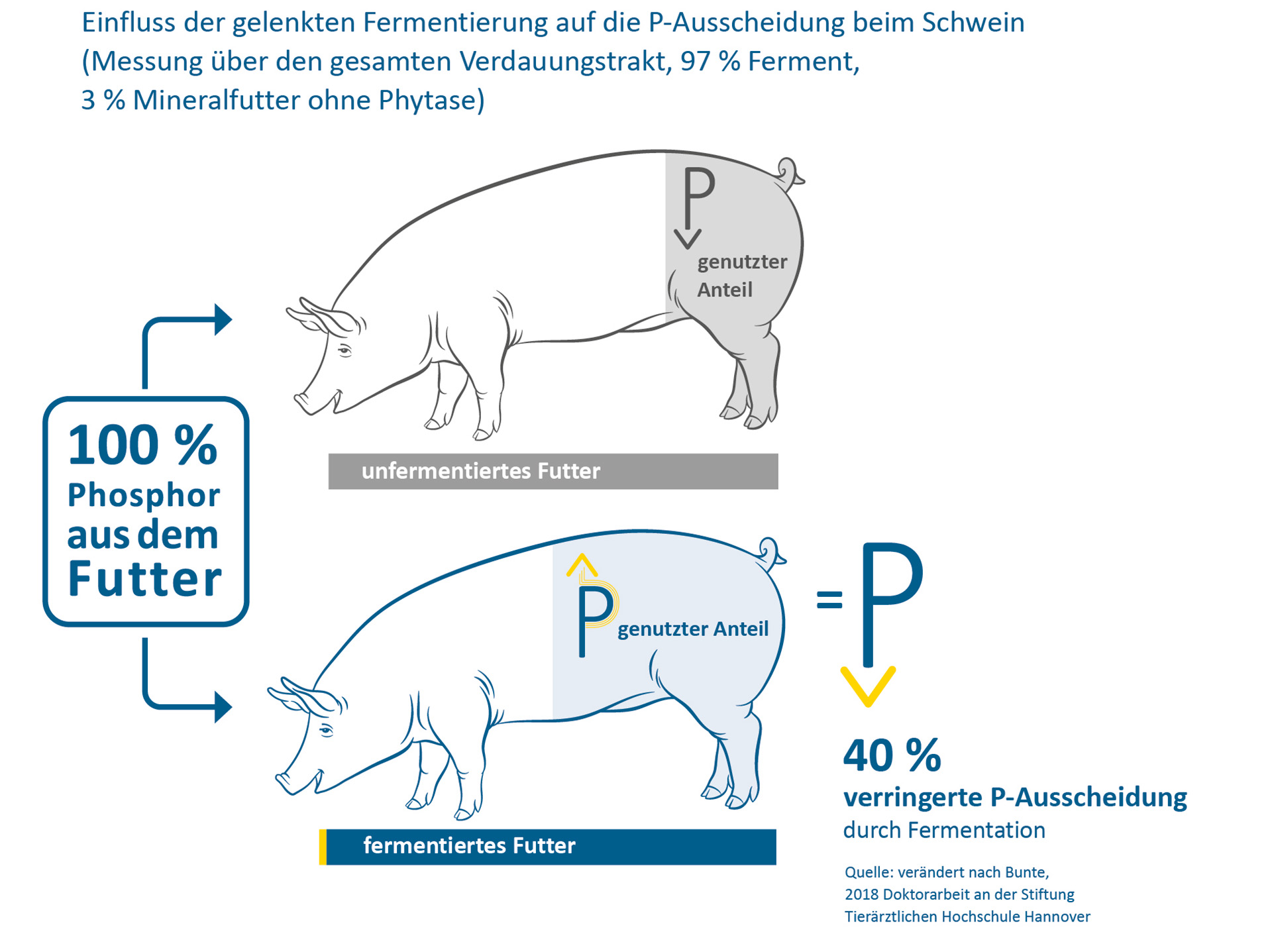 Weniger P-Ausscheidung durch Fermentation
