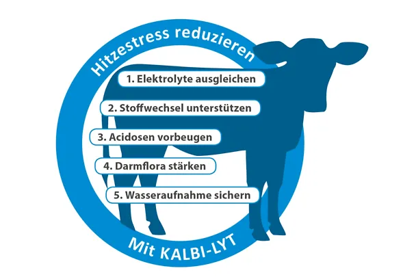 KALBI-LYT gleicht Schweißverluste aus KALBI-LYT gleicht Schweißverluste aus