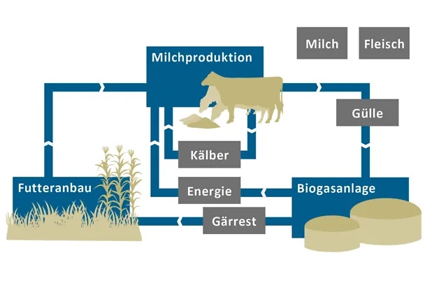 Produktionskreislauf von Gut Hülsenberg