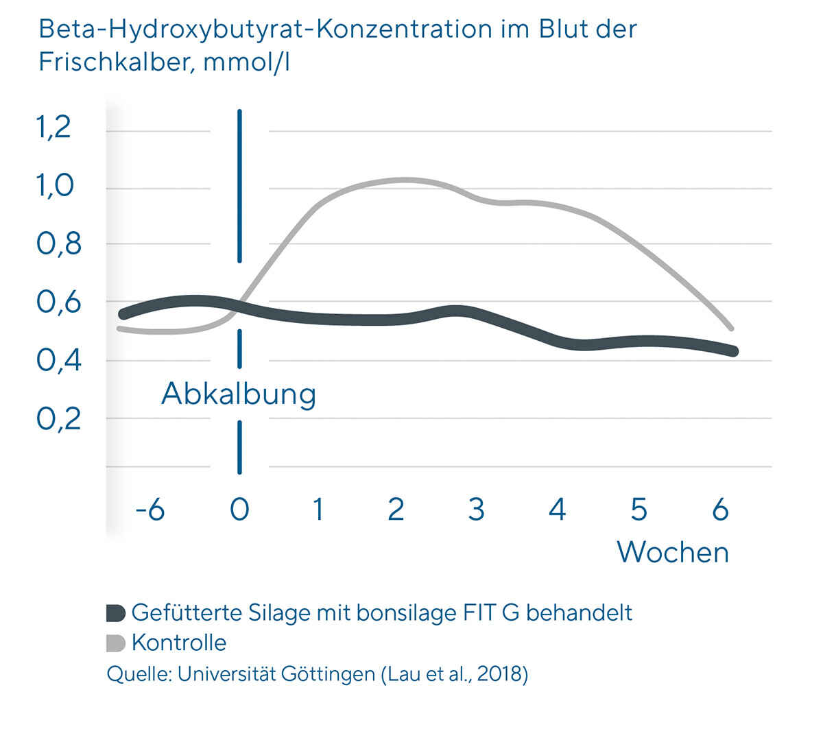 Das Siliermittel bonsilage FIT G  senkt die Ketosegefahr nach dem Kalben