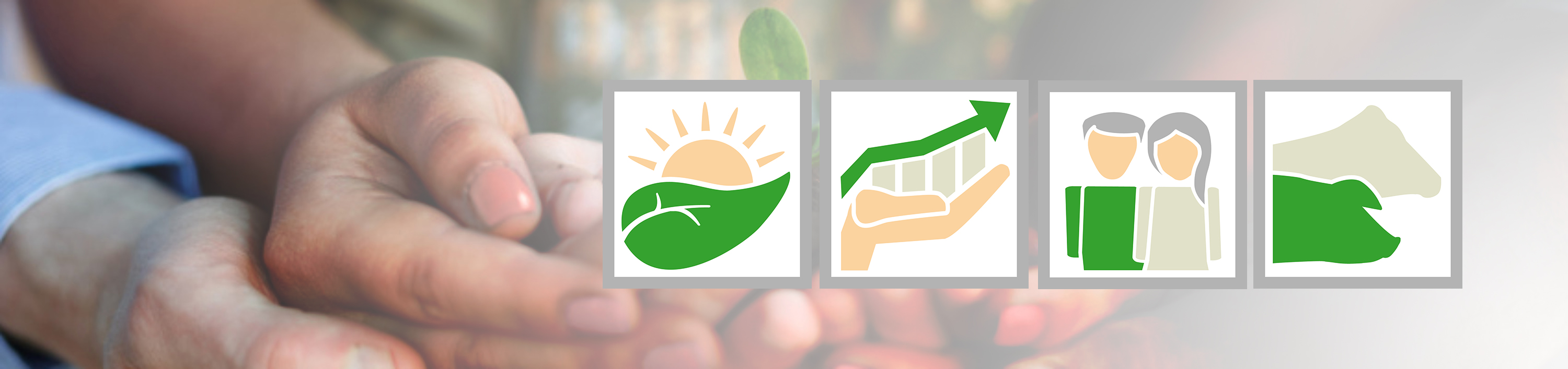 Nachhaltigkeit bei SCHAUMANN Nachhaltigkeit bei SCHAUMANN