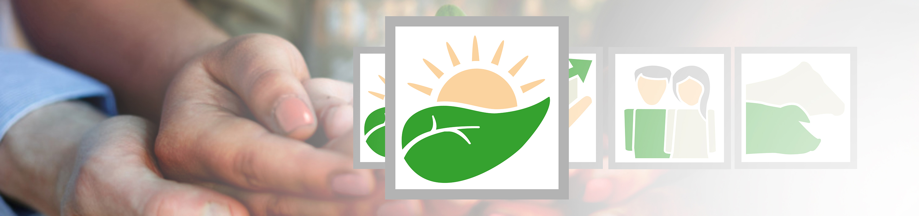 Nachhaltigkeit bei SCHAUMANN Energie und Klima Nachhaltigkeit bei SCHAUMANN Energie und Klima