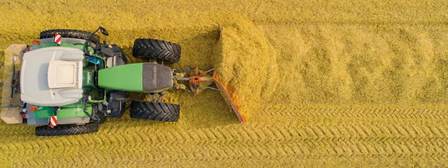 Ein Traktor verteilt Maissilage auf einem Maissilo Ein Traktor verteilt Maissilage auf einem Maissilo