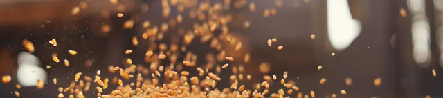 Getreide (Weizen) fällt auf einen Haufen Getreide (Weizen) fällt auf einen Haufen