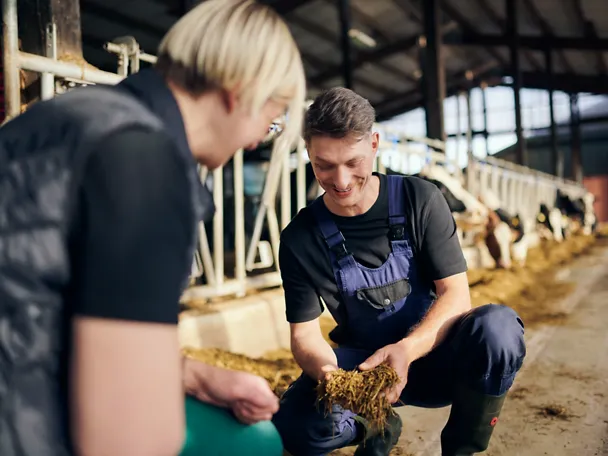 Beratung zwischen zwei Personen zu Rinderfutter auf einem Futtertisch