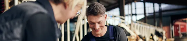 Beratung Rinder Futtertisch Beratung Rinder Futtertisch